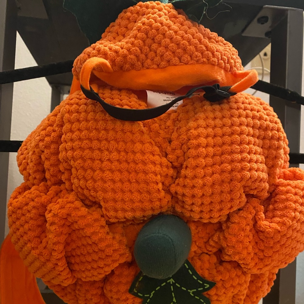 Pumpkin Halloween dog costume